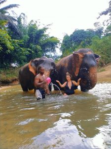 activities with elephants