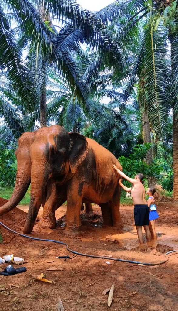 Srimala Elephant Camp
