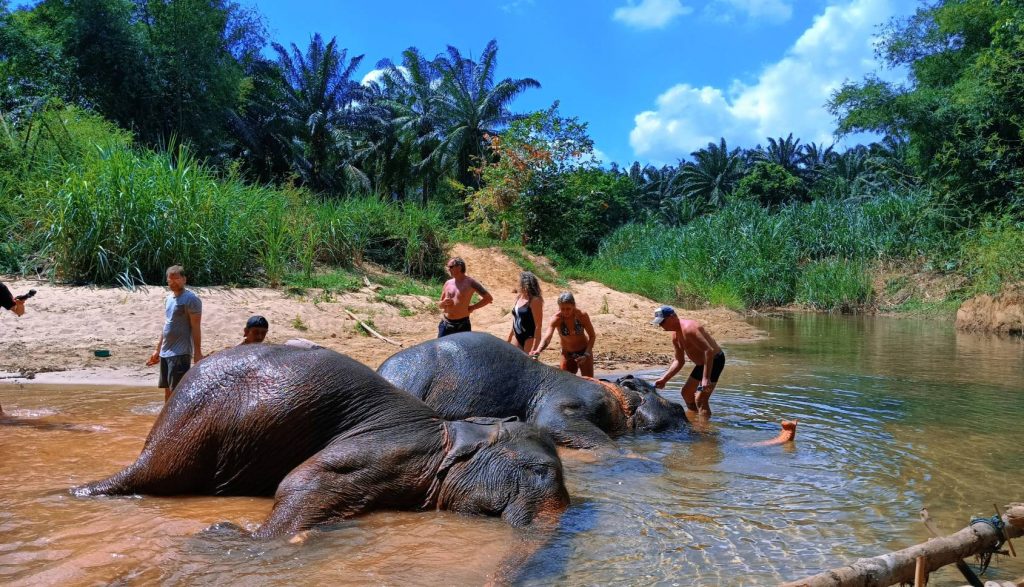 Srimala Elephant Camp