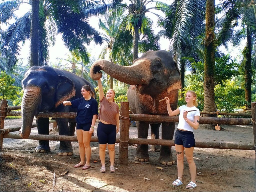 Srimala Elephant Camp