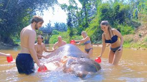 Srimala Elephant Camp