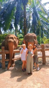 Elephant Camp