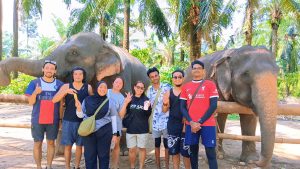 Discover Krabi