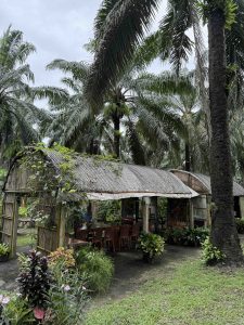 private elephant experience