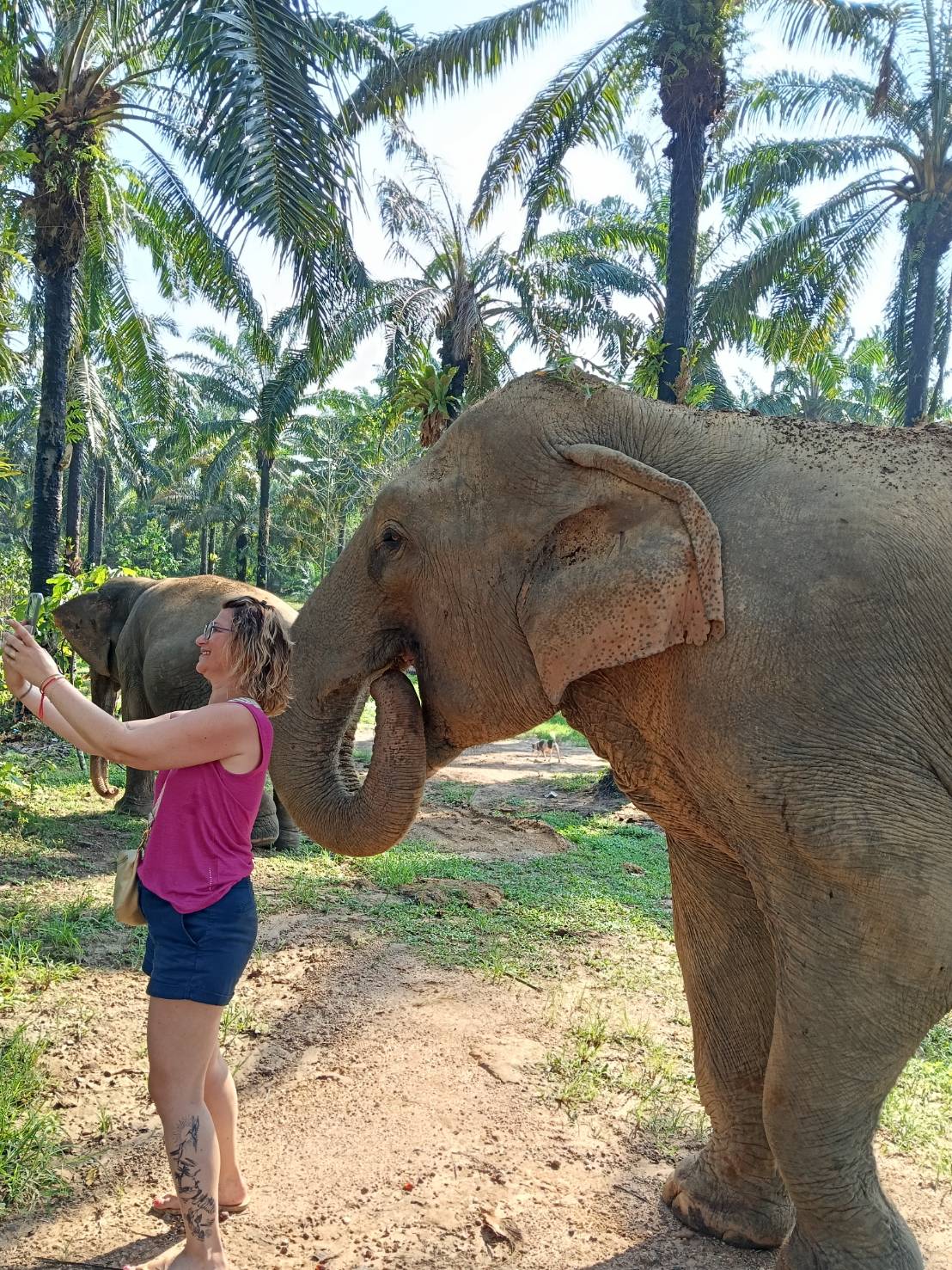 top-things-to-do-in-krabi