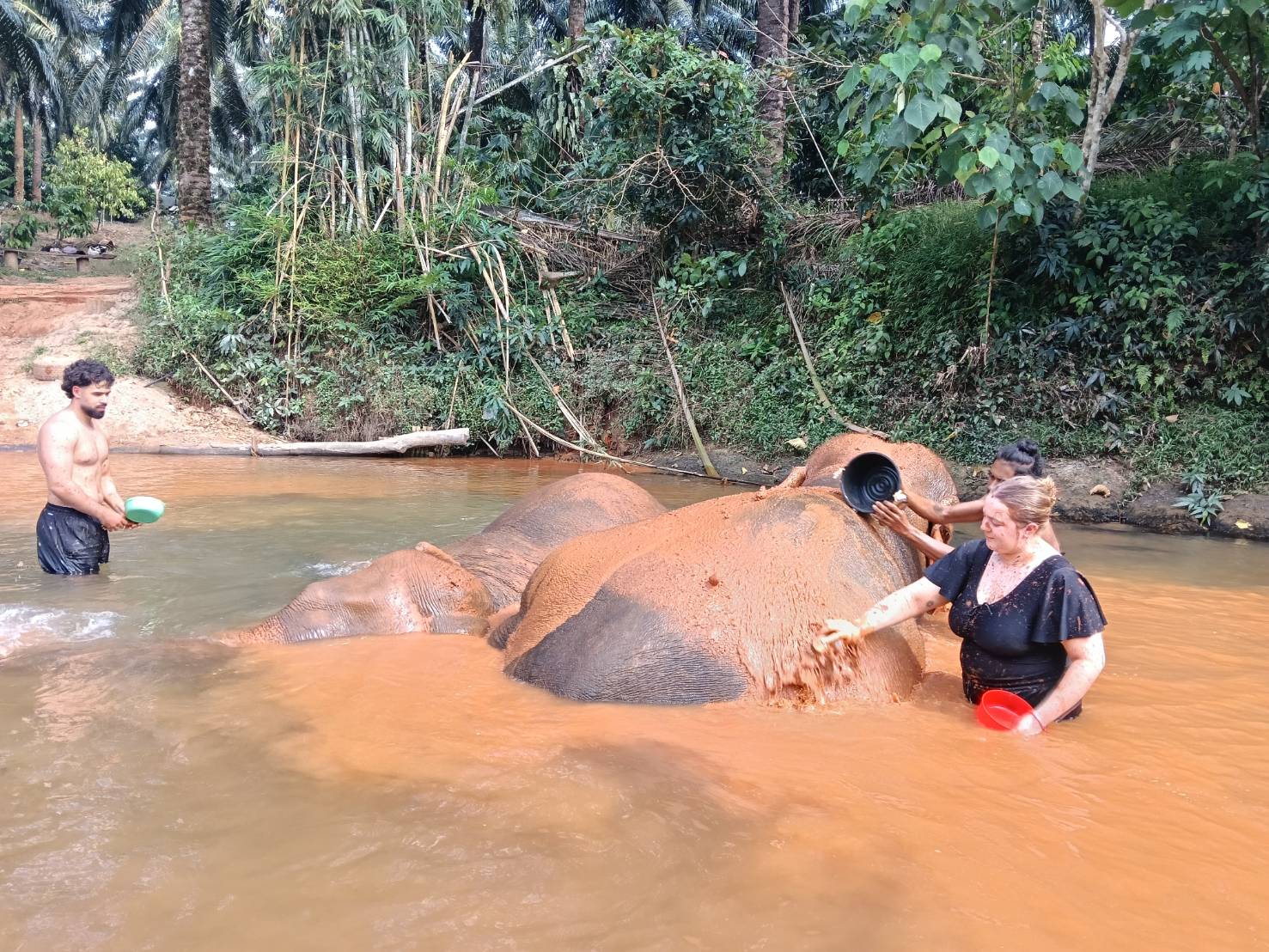 Half-Day Itinerary in Krabi