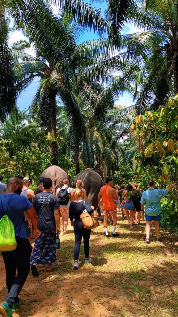 Makes an Elephant Experience
